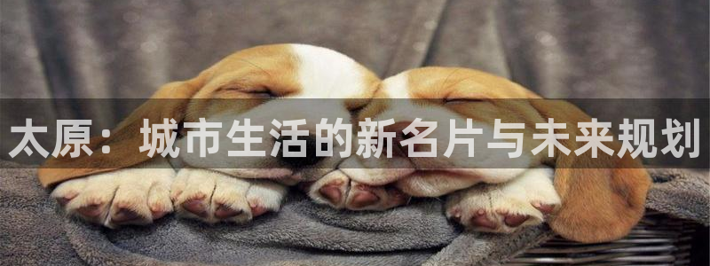 新宝5线路登录：太原：城市生活的新名片与未来规划