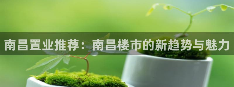 新宝5测速线路：南昌置业推荐：南昌楼市的新趋势与魅力