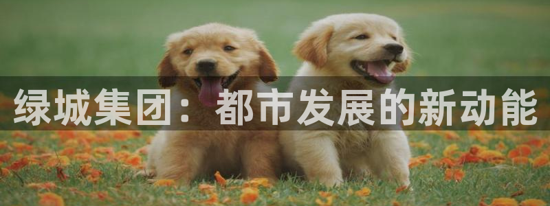 新宝5注册测速登录：绿城集团：都市发展的新动能