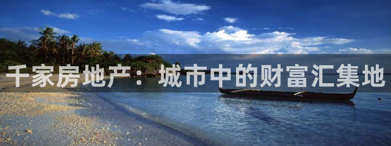 新宝5怎么代理：千家房地产：城市中的财富汇集地