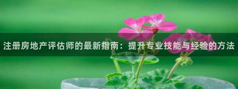 新宝5是什么样子的：注册房地产评估师的最新指南：提升专业技能