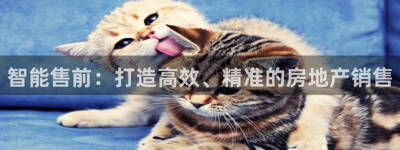 新宝5开好：智能售前：打造高效、精准的房地产销售