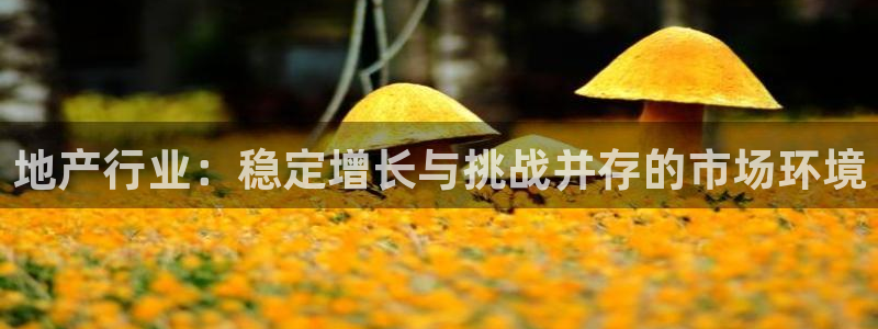 新宝5分彩：地产行业：稳定增长与挑战并存的市场环境
