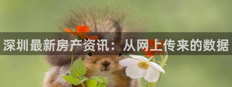 新宝5平台注册资金：深圳最新房产资讯：从网上传来的数据