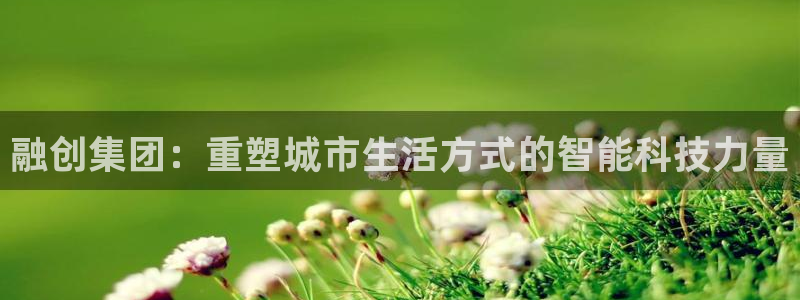 新宝堂新会陈皮5年：融创集团：重塑城市生活方式的智能科技力量