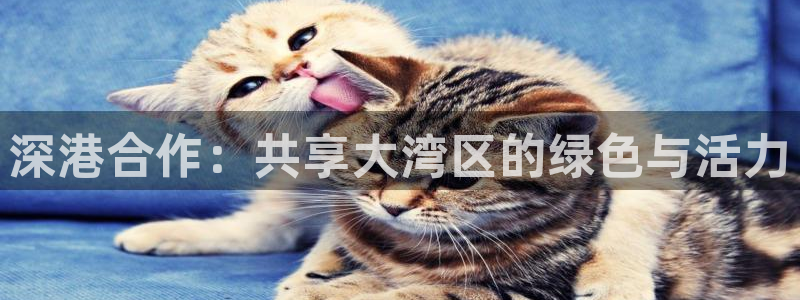 新宝5球维33 300：深港合作：共享大湾区的绿色与活力