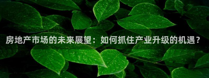 新宝5平台咋样：房地产市场的未来展望：如何抓住产业升级的机遇