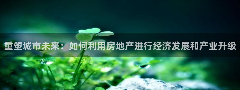 新宝j2O5O5O：重塑城市未来：如何利用房地产进行经济发展