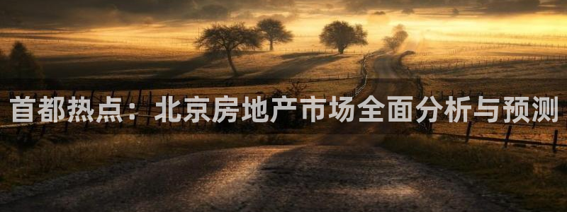 新宝6霸哥5：首都热点：北京房地产市场全面分析与预测