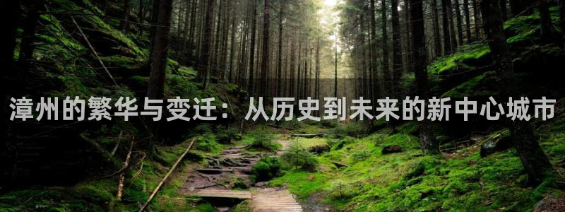 新宝5注册账号：漳州的繁华与变迁：从历史到未来的新中心城市