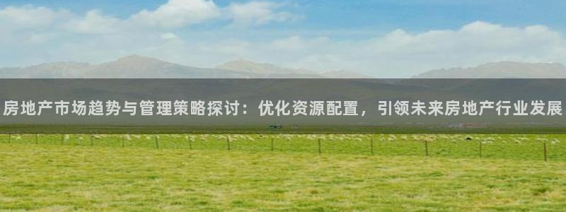 新宝5招商222111：房地产市场趋势与管理策略探讨：优化资