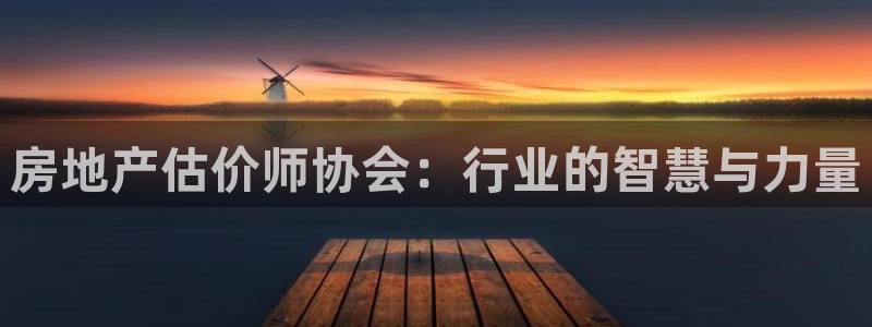 新宝5代理注册：房地产估价师协会：行业的智慧与力量