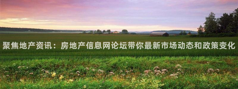 新宝测速5：聚焦地产资讯：房地产信息网论坛带你最新市场动态和