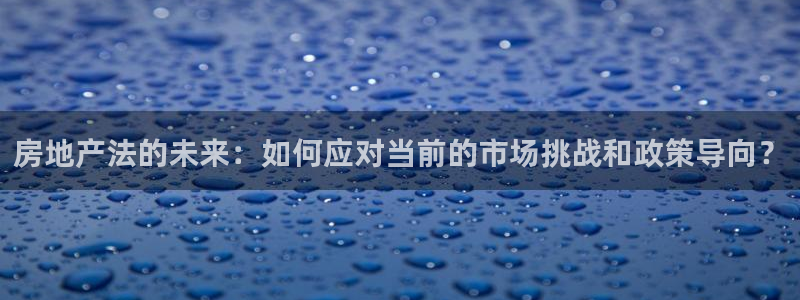 新宝5源码：房地产法的未来：如何应对当前的市场挑战和政策导向