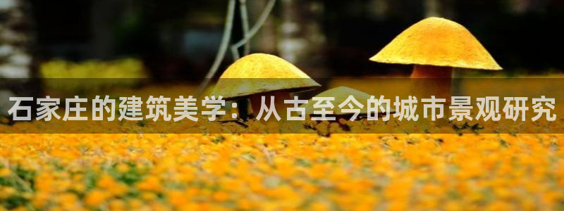 新宝5为啥开：石家庄的建筑美学：从古至今的城市景观研究
