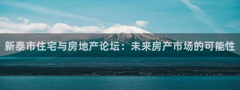 新宝5 注册：新泰市住宅与房地产论坛：未来房产市场的可能性