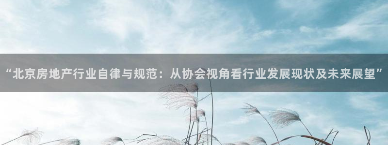 新宝5巅峰：“北京房地产行业自律与规范：从协会视角看行业发展