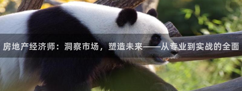 新宝5招商：房地产经济师：洞察市场，塑造未来——从专业到实战