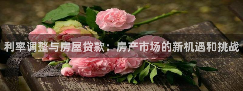 新宝5注册：利率调整与房屋贷款：房产市场的新机遇和挑战