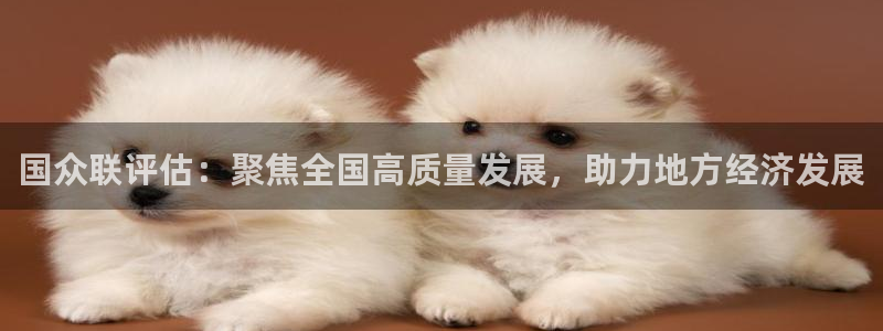 新宝5如何注册：国众联评估：聚焦全国高质量发展，助力地方经济