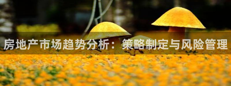 5新宝：房地产市场趋势分析：策略制定与风险管理