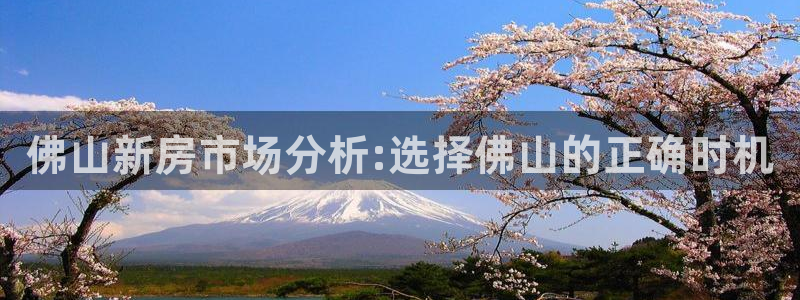 新宝5得74OOO5：佛山新房市场分析:选择佛山的正确时机