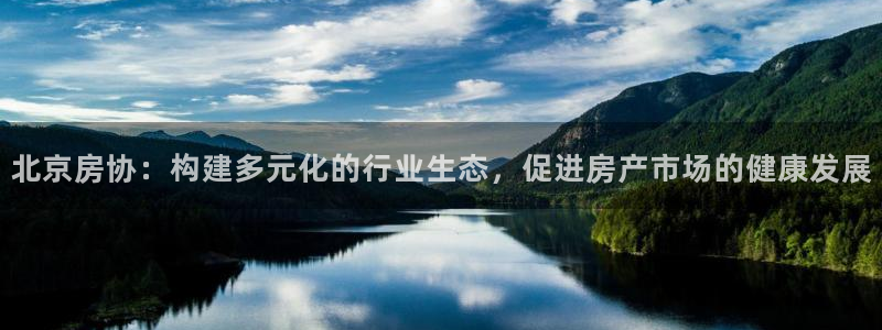 新宝5公司：北京房协：构建多元化的行业生态，促进房产市场的健