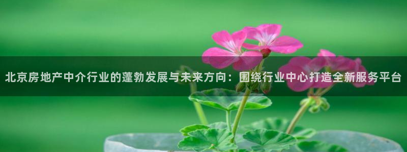 新宝5飞355051：北京房地产中介行业的蓬勃发展与未来方向