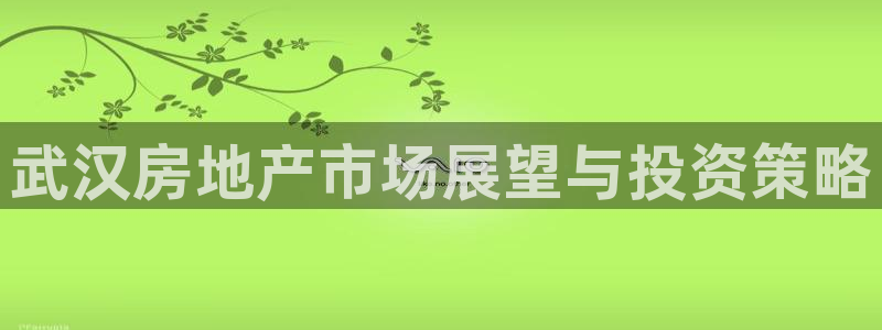 新宝5是什么样子的：武汉房地产市场展望与投资策略