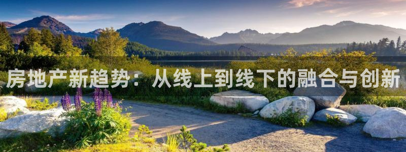 新宝5是谁：房地产新趋势：从线上到线下的融合与创新
