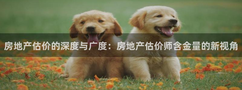 新宝5登录网址：房地产估价的深度与广度：房地产估价师含金量的