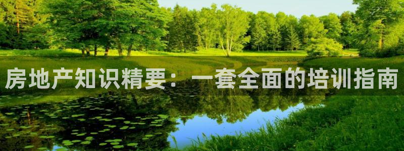 新宝5app：房地产知识精要：一套全面的培训指南