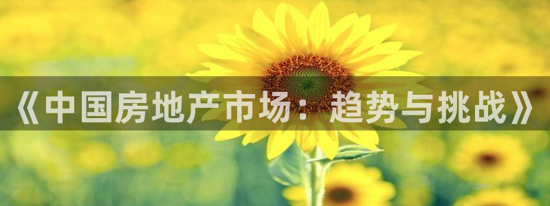新宝5线路登录检测：《中国房地产市场：趋势与挑战》