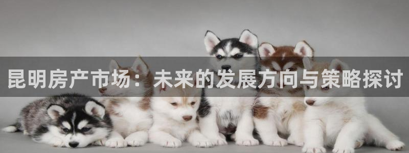 新宝m2O5O5O：昆明房产市场：未来的发展方向与策略探讨