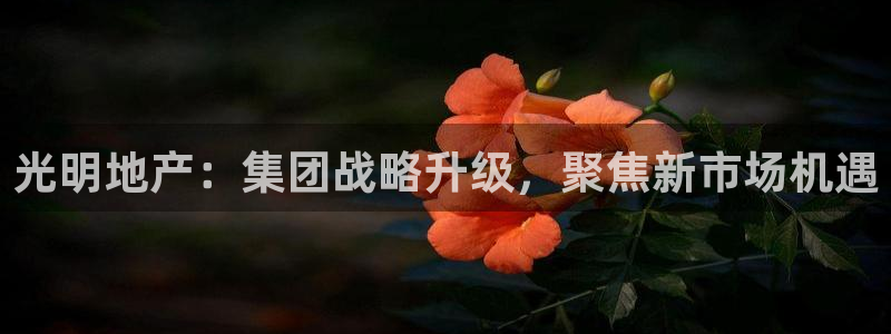 新宝5直属：光明地产：集团战略升级，聚焦新市场机遇
