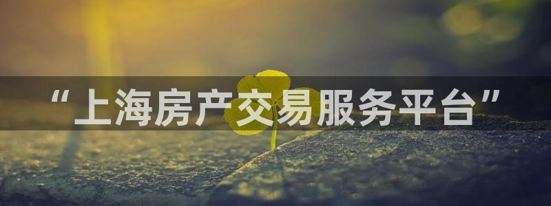 2022新宝骏rs 5：“上海房产交易服务平台”