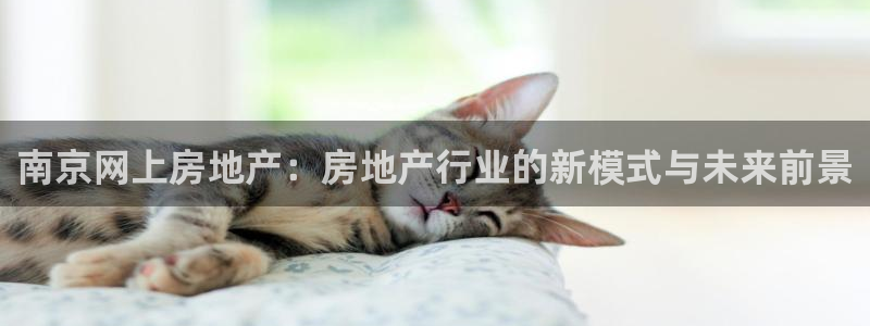 新宝5测速登录：南京网上房地产：房地产行业的新模式与未来前景
