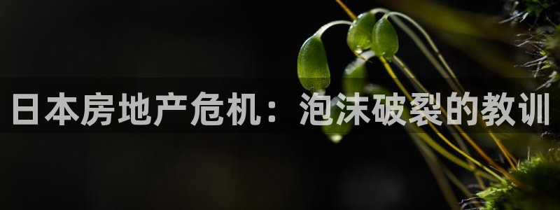 新宝5注册：日本房地产危机：泡沫破裂的教训