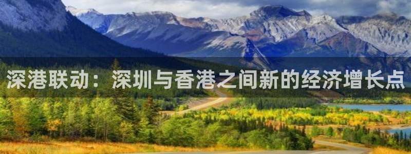 新宝那2O5O5O：深港联动：深圳与香港之间新的经济增长点