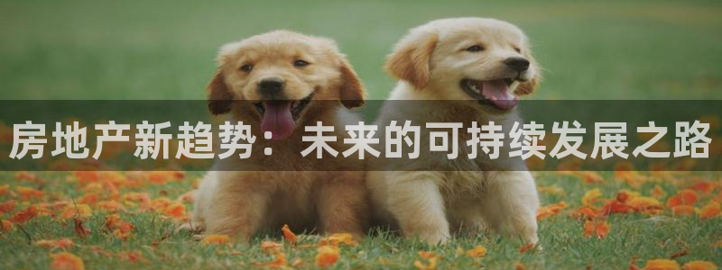 新宝5是什么：房地产新趋势：未来的可持续发展之路