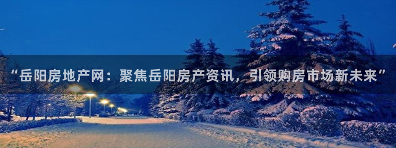 新宝5测登录：“岳阳房地产网：聚焦岳阳房产资讯，引领购房市场