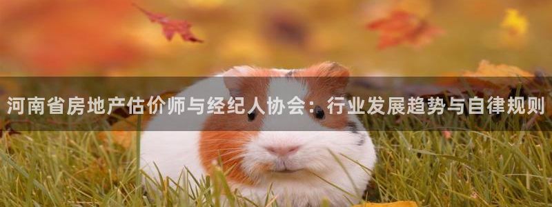 新宝奇迹GG5：河南省房地产估价师与经纪人协会：行业发展趋势