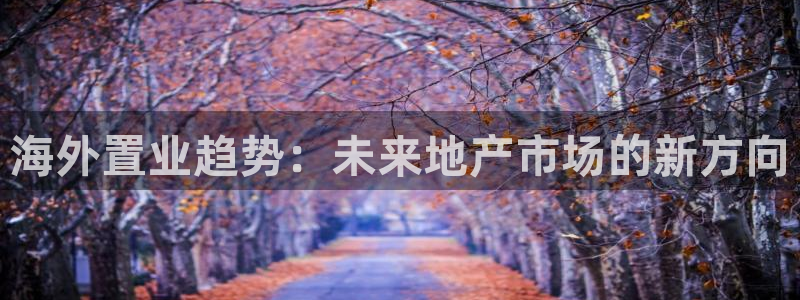 新5宝：海外置业趋势：未来地产市场的新方向