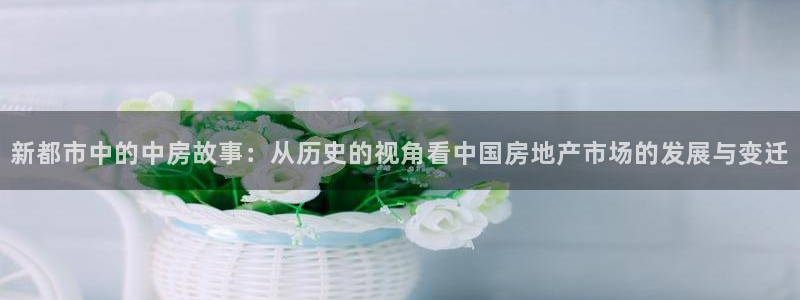 新宝5如何下载：新都市中的中房故事：从历史的视角看中国房地产