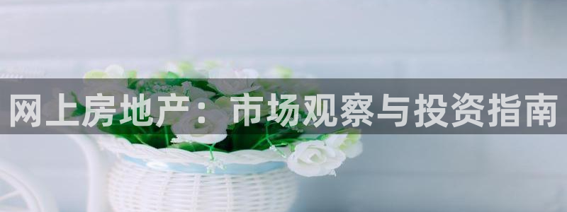 新宝5怎么代理：网上房地产：市场观察与投资指南