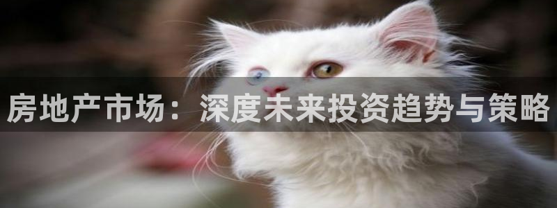 新宝5挂机软件：房地产市场：深度未来投资趋势与策略