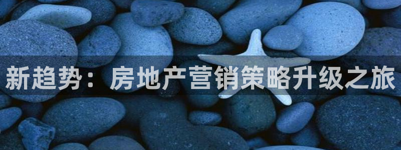 新宝5注册账号：新趋势：房地产营销策略升级之旅