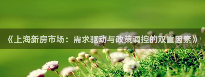 新宝5代理注册：《上海新房市场：需求驱动与政策调控的双重因素