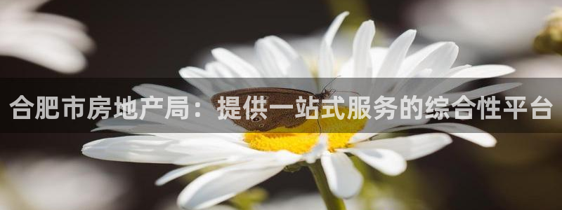 新宝5注册：合肥市房地产局：提供一站式服务的综合性平台