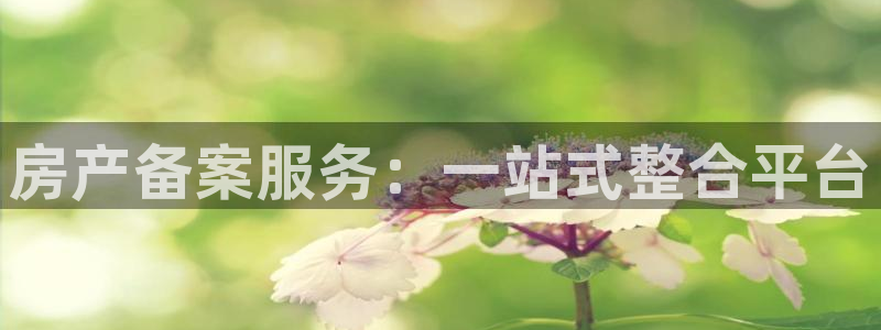 新宝5招商222111：房产备案服务：一站式整合平台